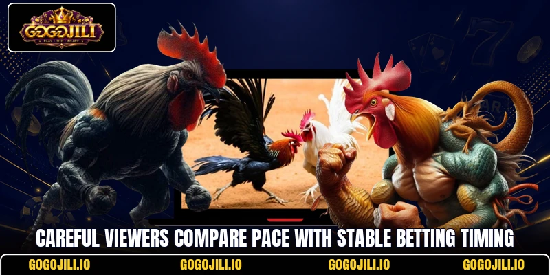 Careful viewers compare pace with stable betting timing