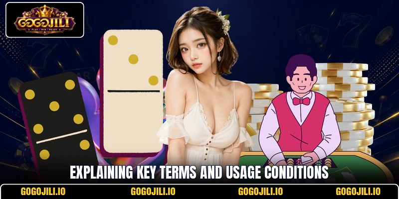 Explaining key terms and usage conditions