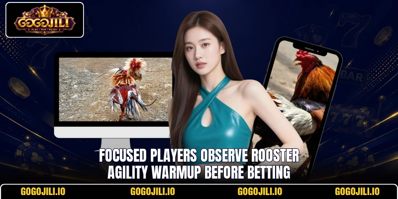 Focused players observe Rooster Agility Warmup before betting